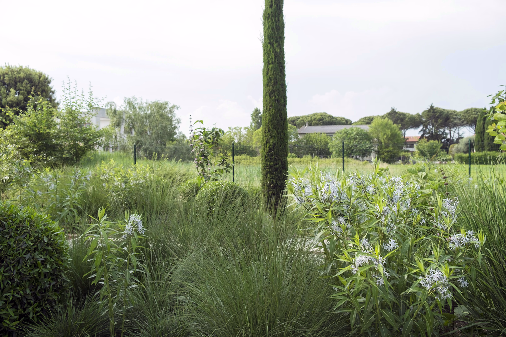 View 2 of the “Mediterranean Grass” garden design by Roberto Landello.