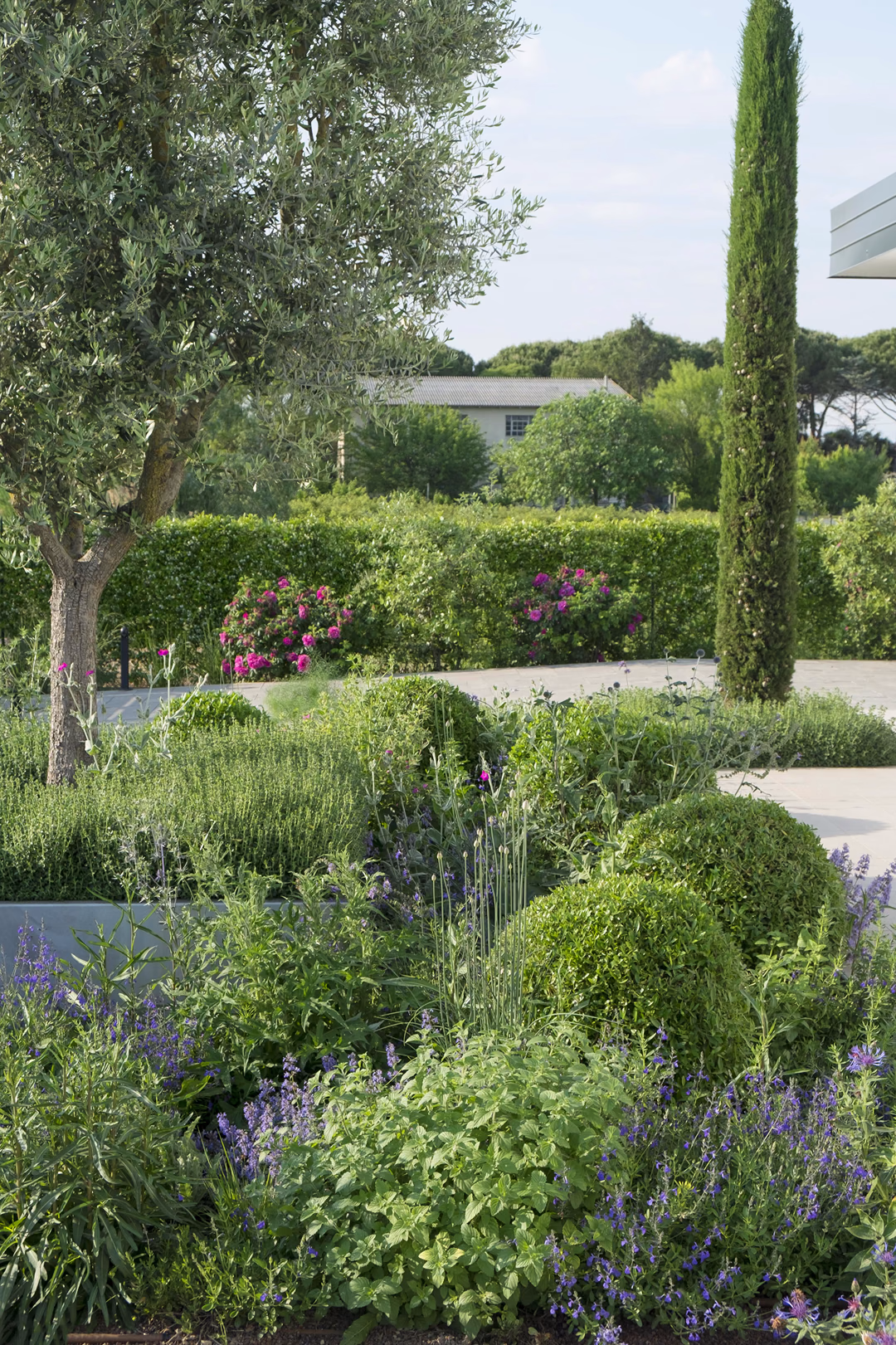View 7 of the “Mediterranean Grass” garden design, created by Roberto Landello.