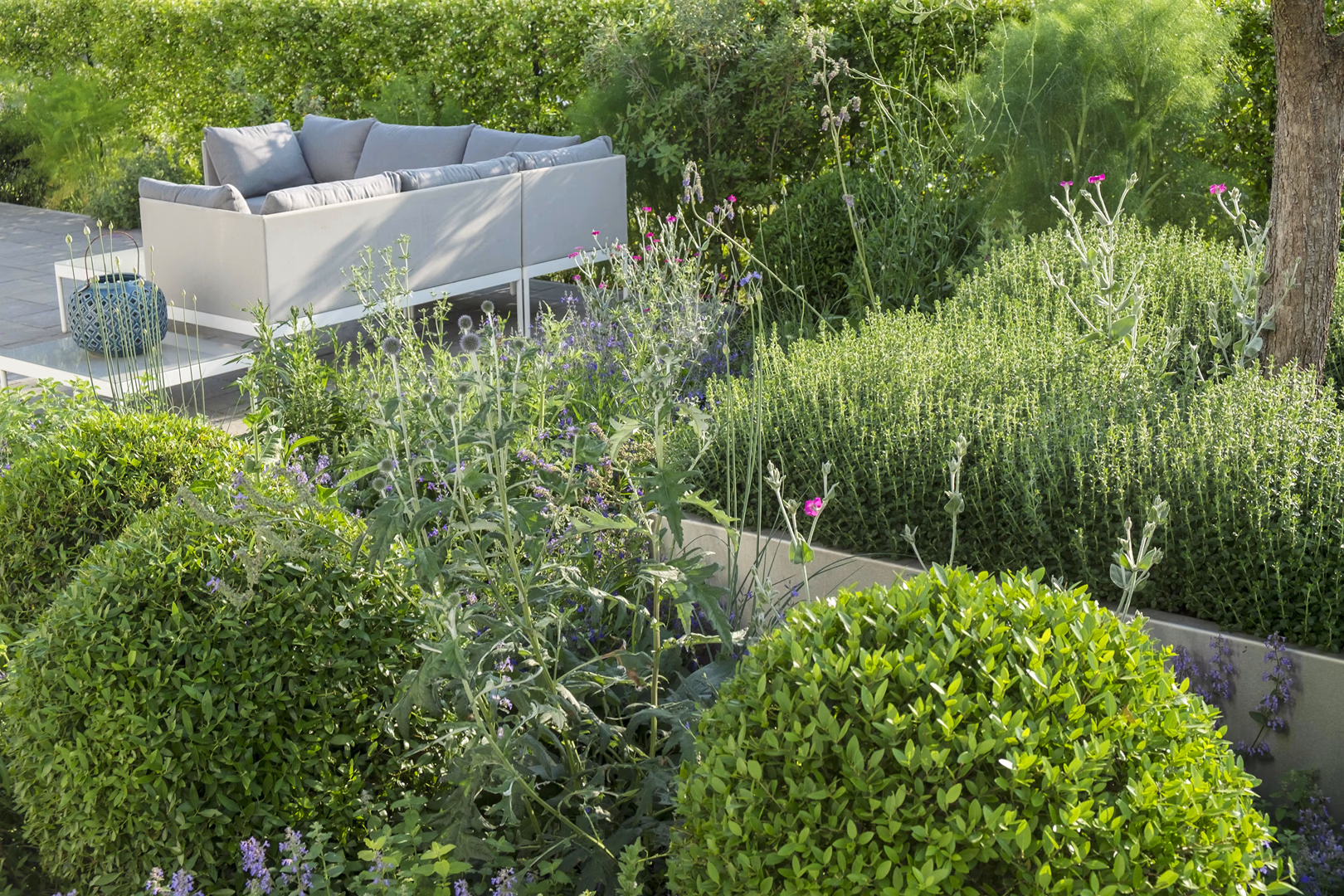 View 8 of the “Mediterranean Grass” garden design, created by Roberto Landello.