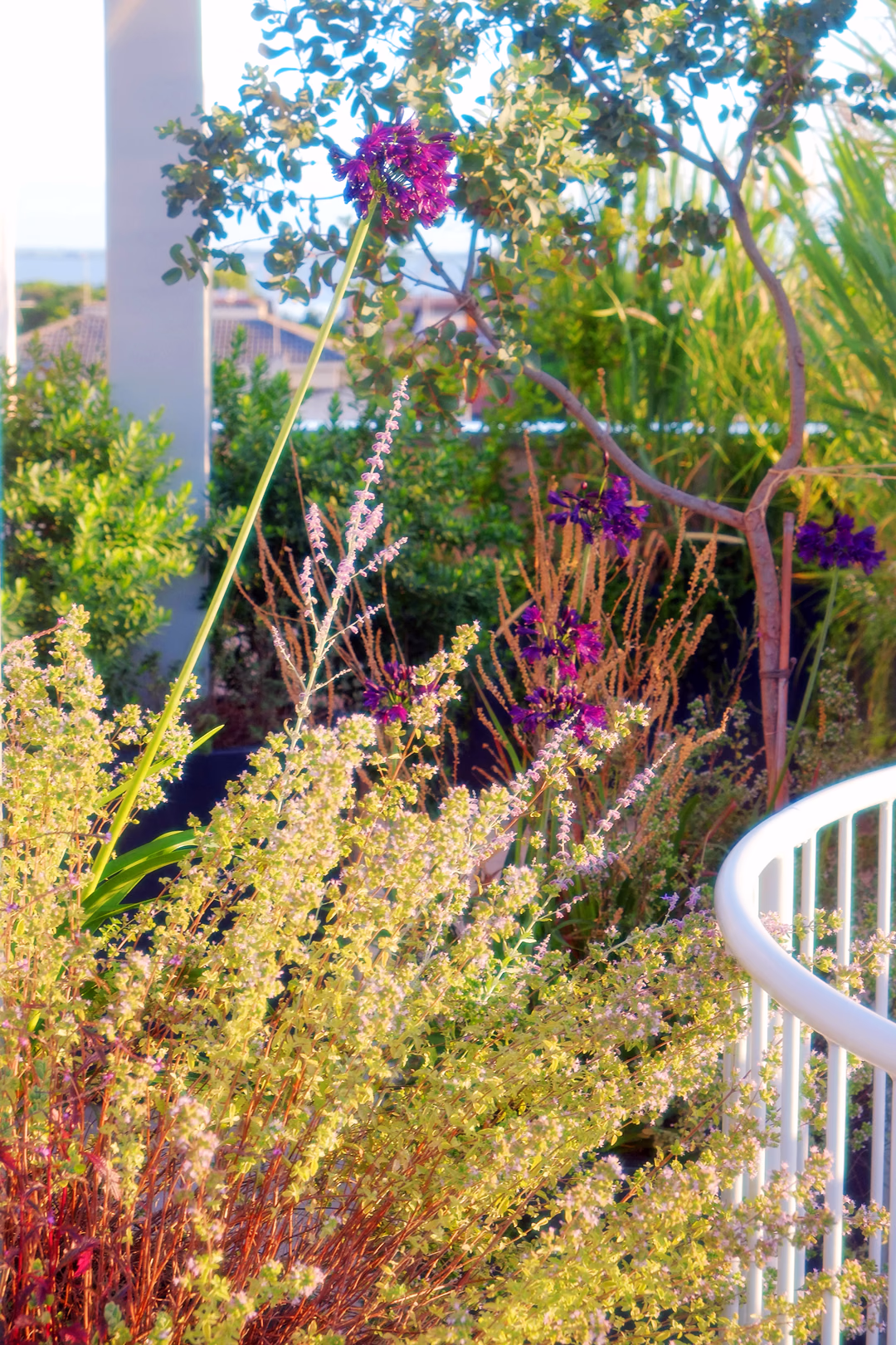 Vista 9 del progetto di giardino Laguna blu, realizzato da Roberto Landello.