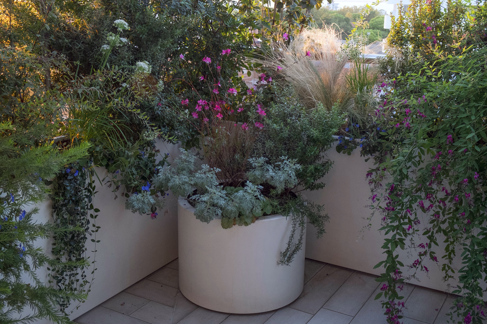 View 2 of the Contemporary Mediterranean garden design by Roberto Landello.