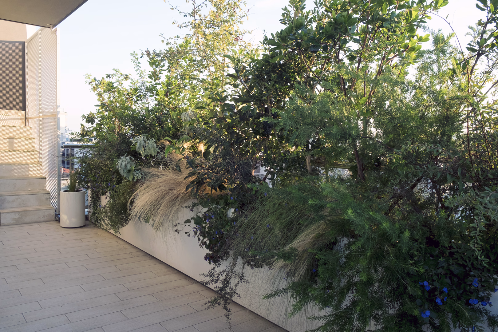 View 3 of the Contemporary Mediterranean garden design by Roberto Landello.