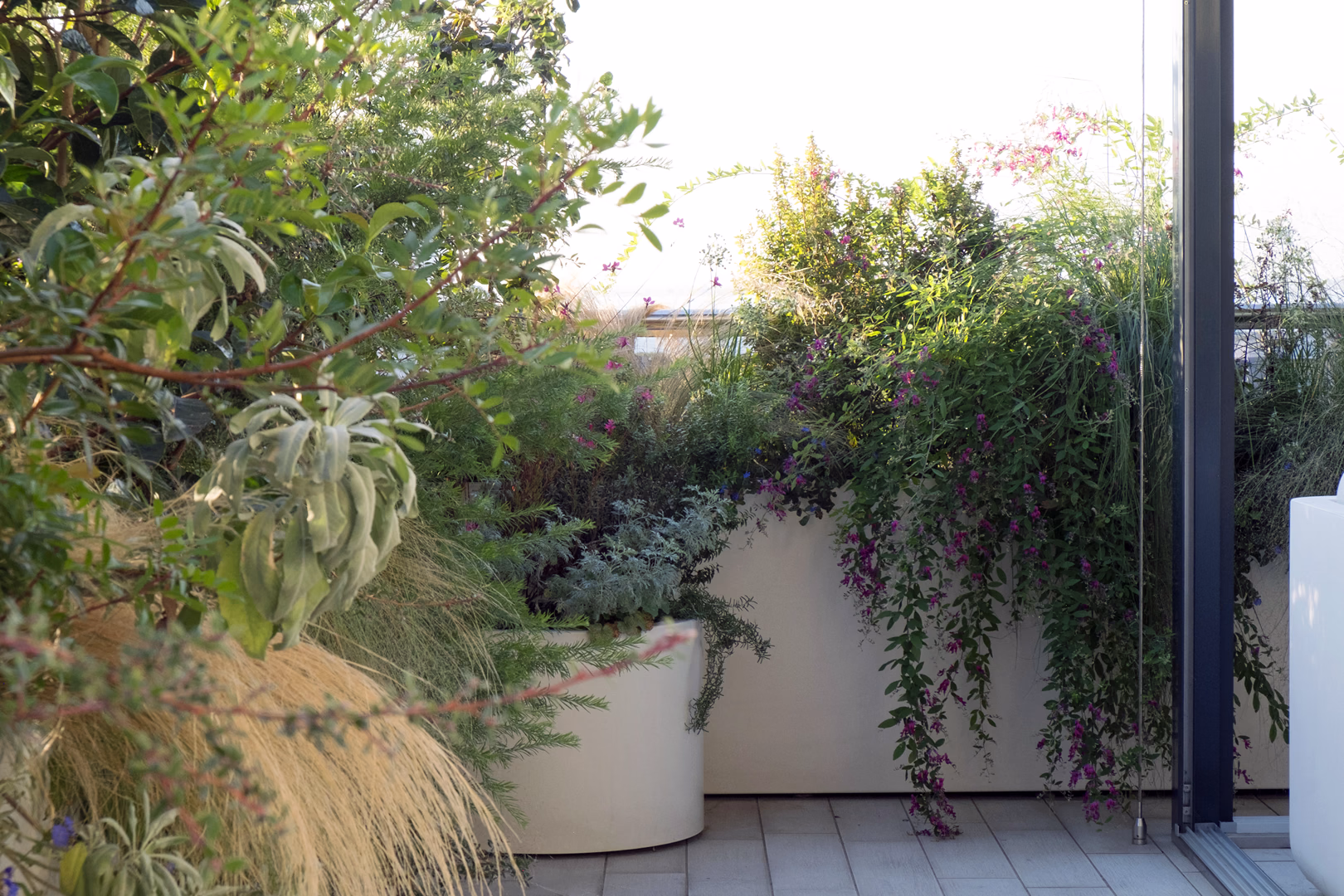 View 4 of the Contemporary Mediterranean garden design by Roberto Landello.