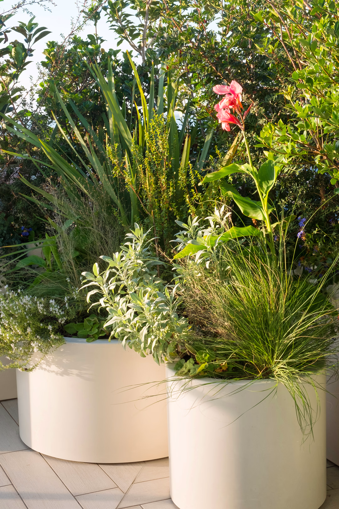 View 7 of the Contemporary Mediterranean garden design by Roberto Landello.