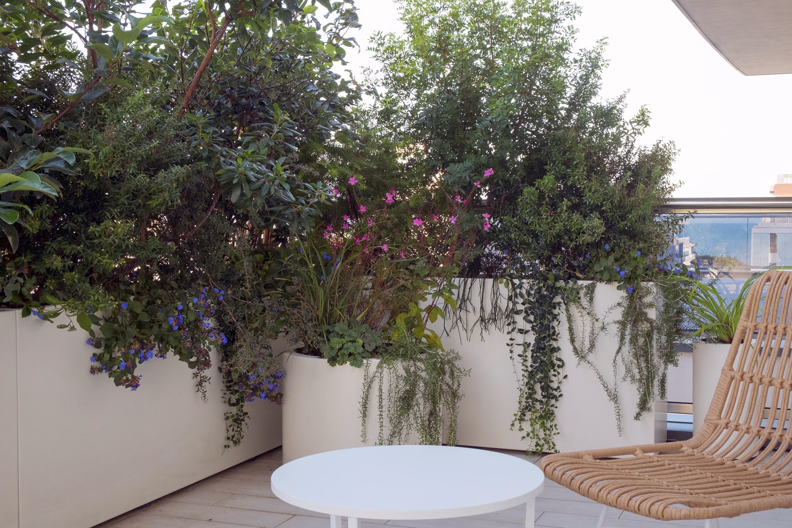 View 8 of the Contemporary Mediterranean garden design by Roberto Landello.