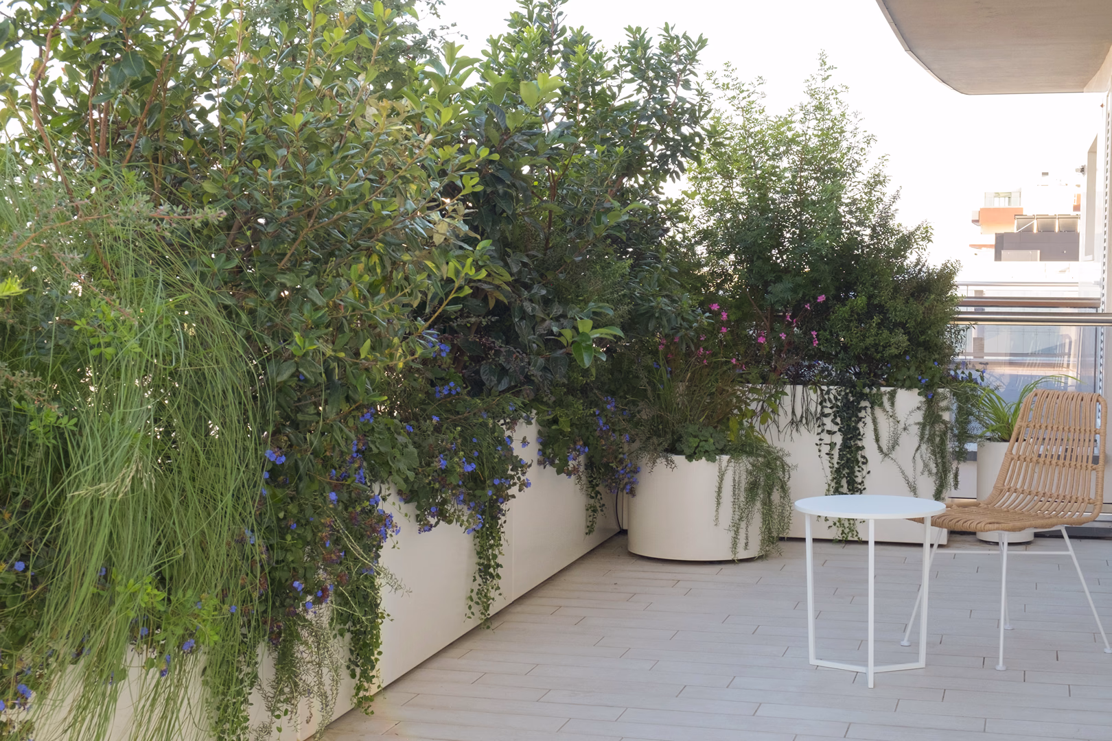 View 9 of the Contemporary Mediterranean garden design by Roberto Landello.