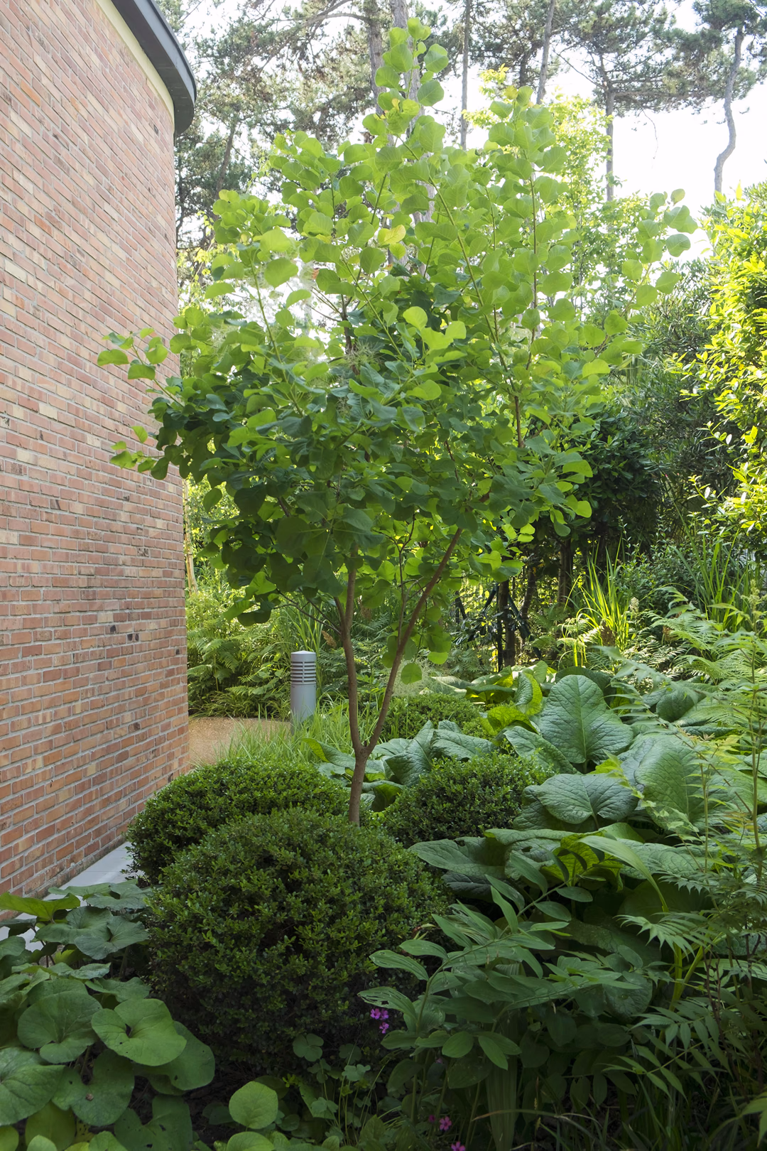 View 1 of the “Natural Garden” garden design, created by Roberto Landello.