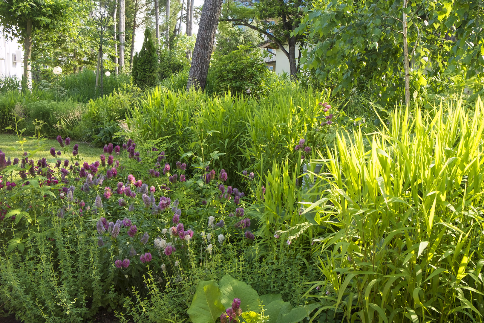 View 3 of the “Natural Garden” garden design, created by Roberto Landello.