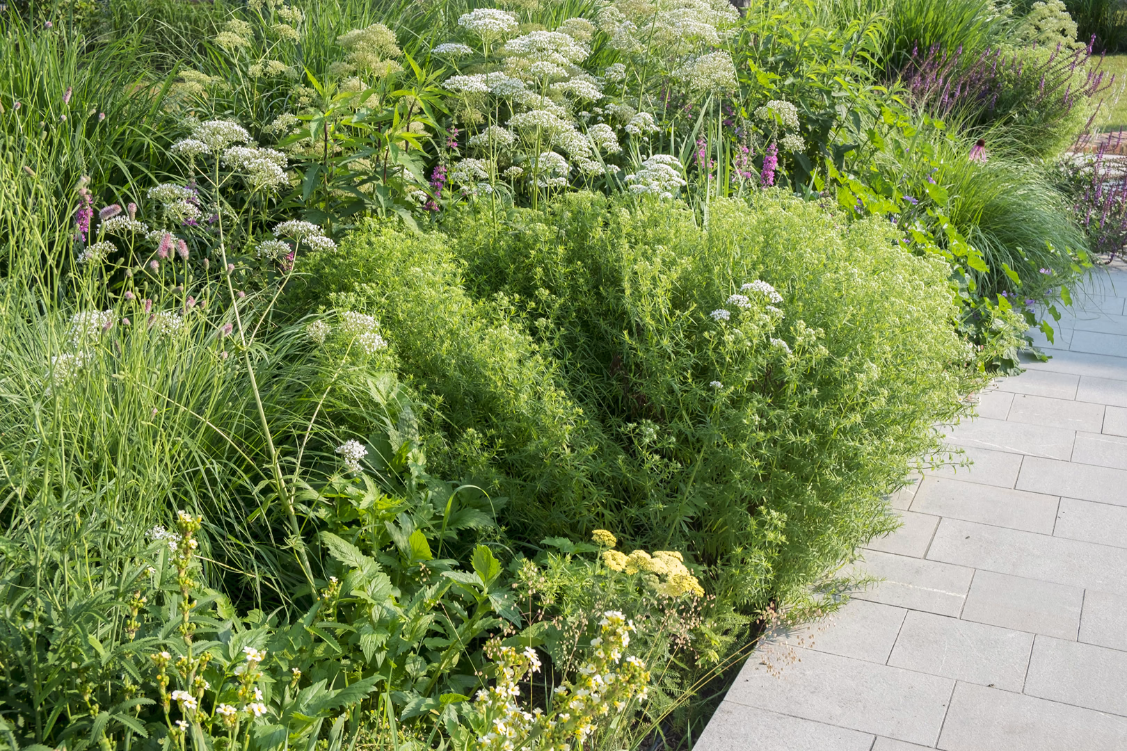 View 16 of the “Natural Garden” garden design, created by Roberto Landello.