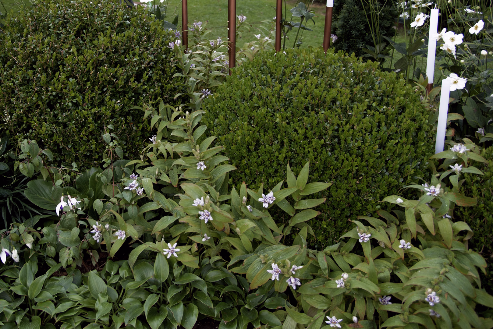 View 8 of the “Lunar Cycle” garden design, created by Roberto Landello.