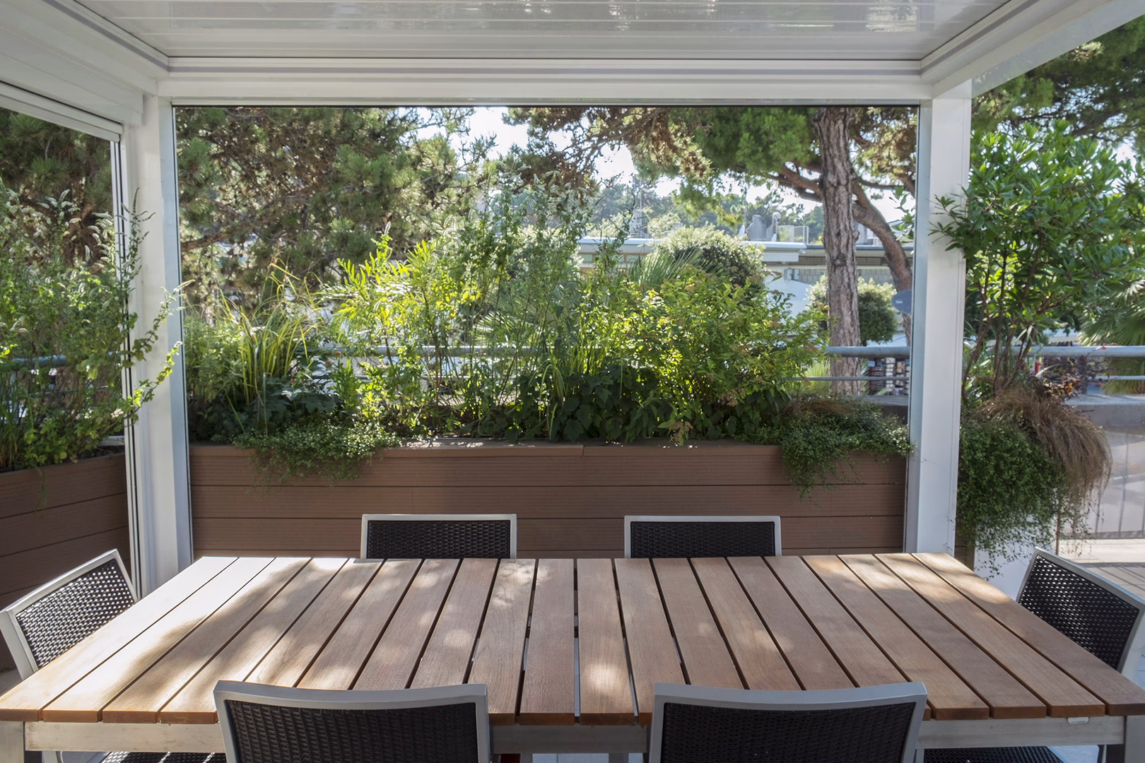 View 2 of the “Small pine forest” garden design, created by Roberto Landello.
