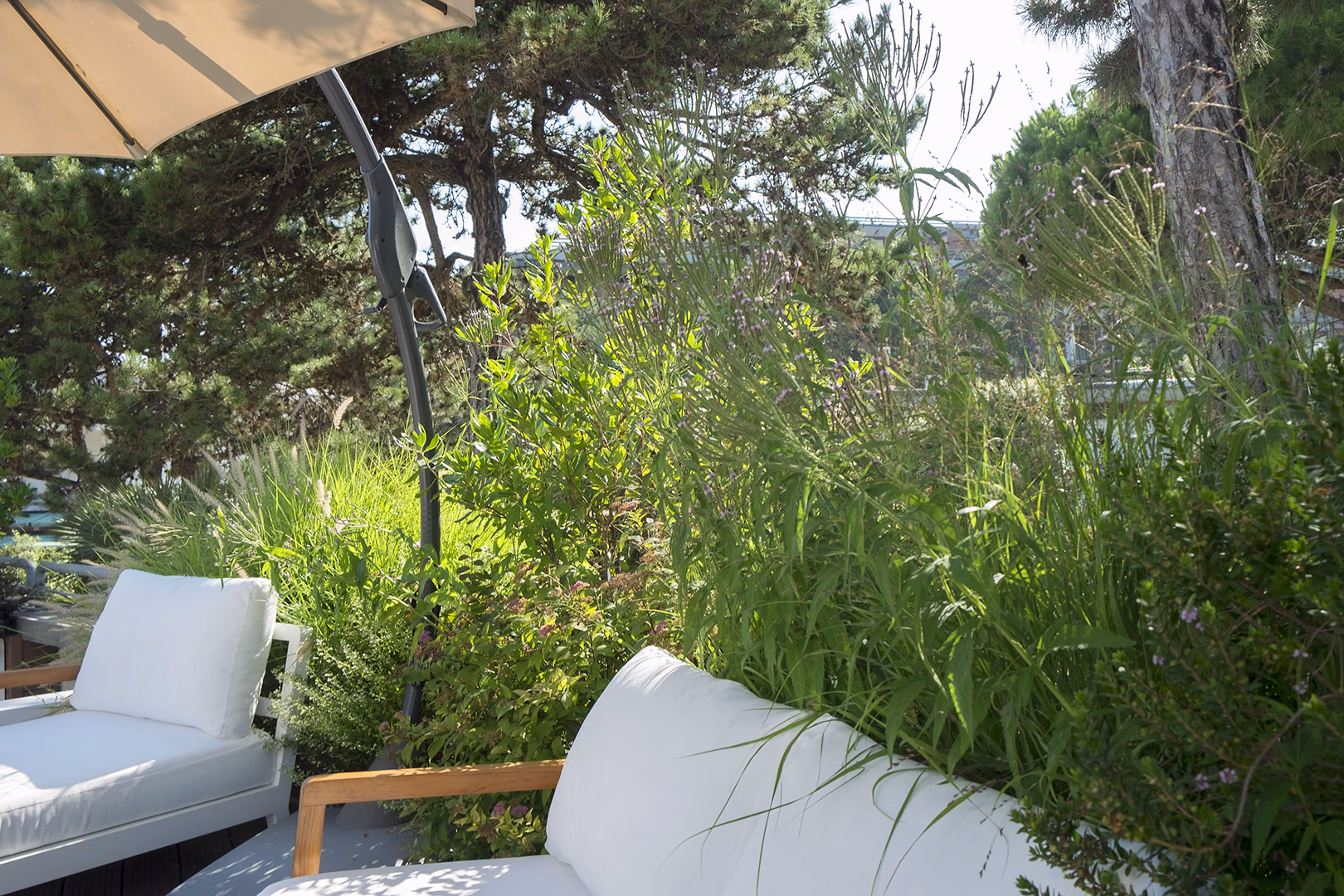View 5 of the “Small pine forest” garden design, created by Roberto Landello.