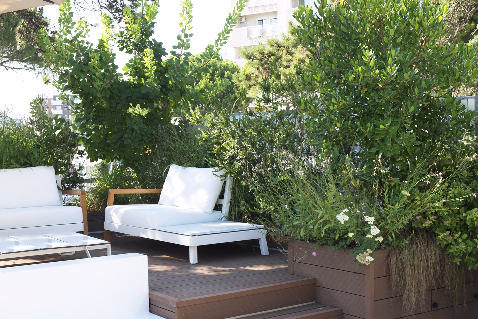 View 6 of the “Small pine forest” garden design, created by Roberto Landello.