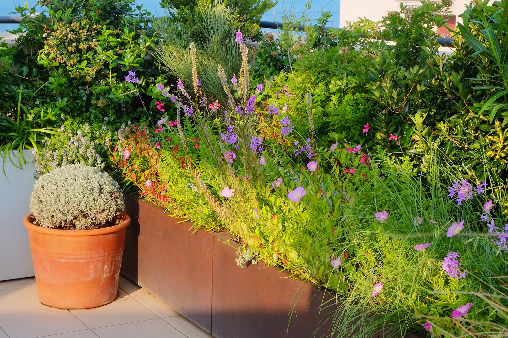 Vista 8 del progetto di giardino Porta del mare, realizzato da Roberto Landello.