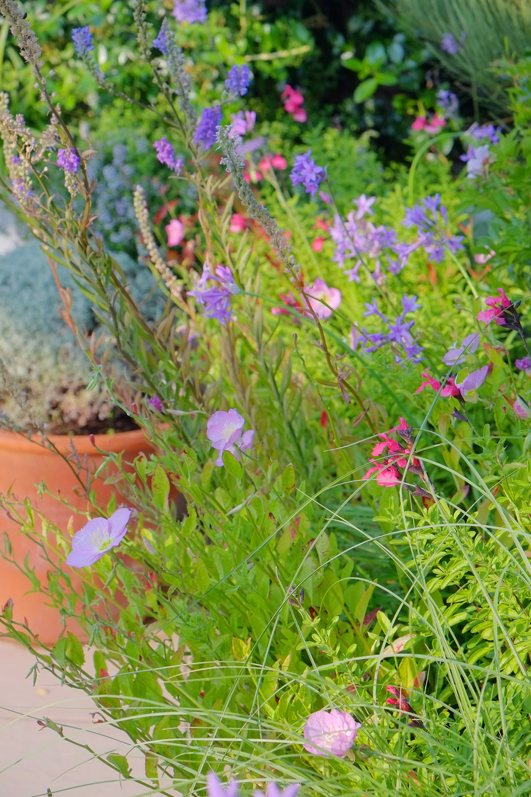Vista 9 del progetto di giardino Porta del mare, realizzato da Roberto Landello.