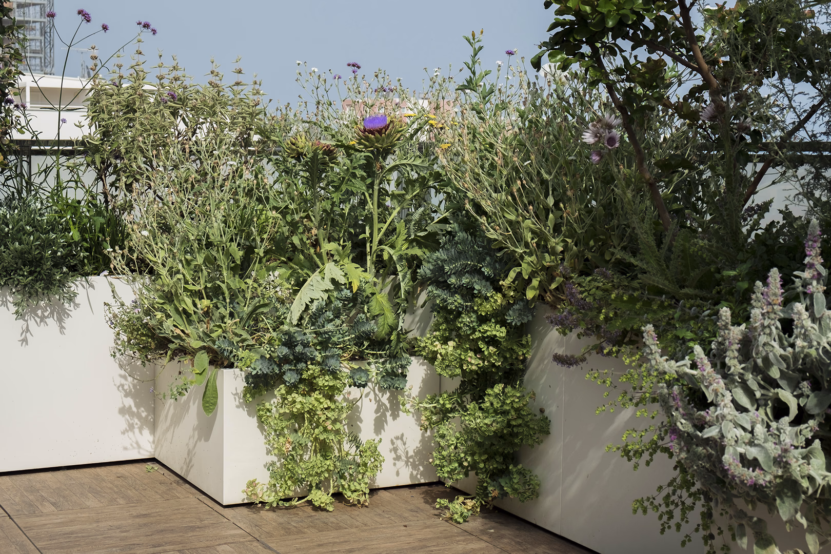Vista 4 del progetto di giardino Terrazzo dei semplici, realizzato da Roberto Landello.