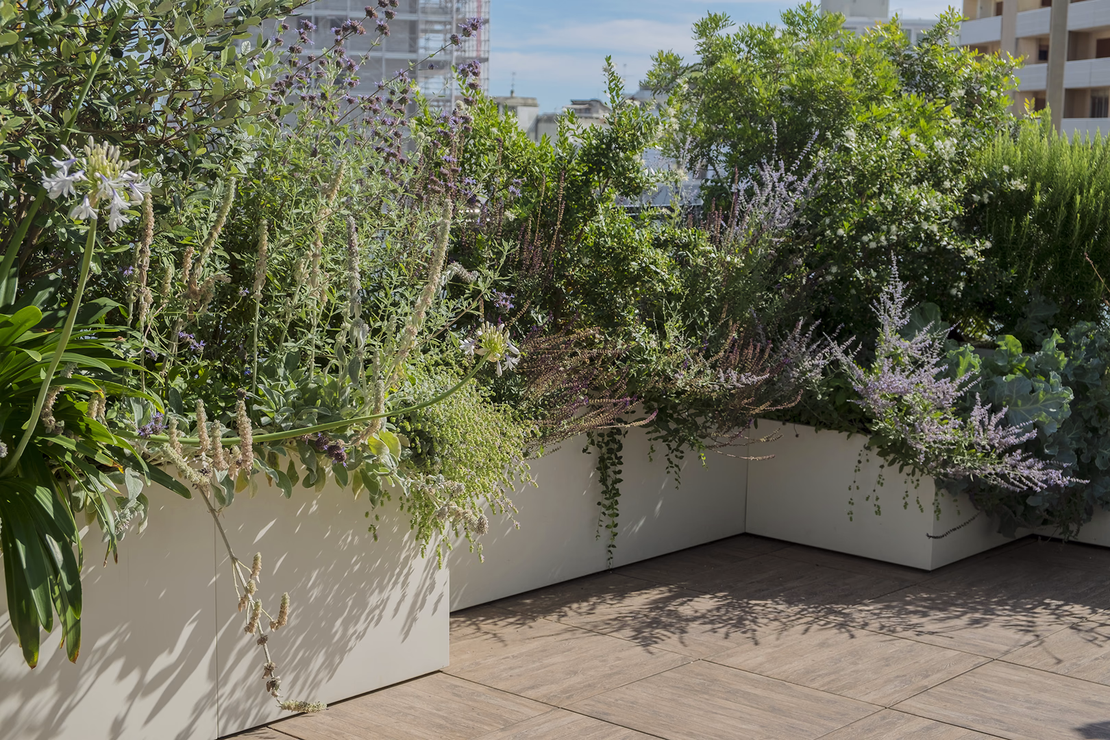 Immagine di copertina del progetto di giardino Terrazzo dei semplici di Roberto Landello.