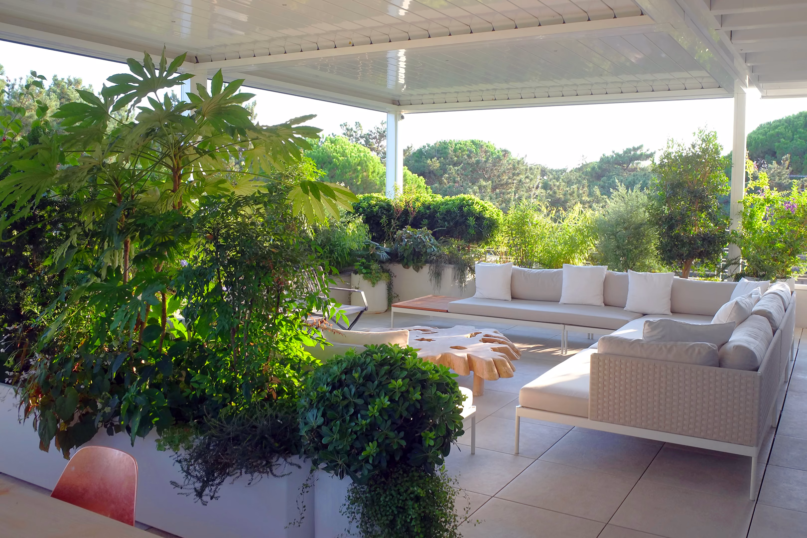 Vista 1 del progetto di giardino Tropical Pines, realizzato da Roberto Landello.