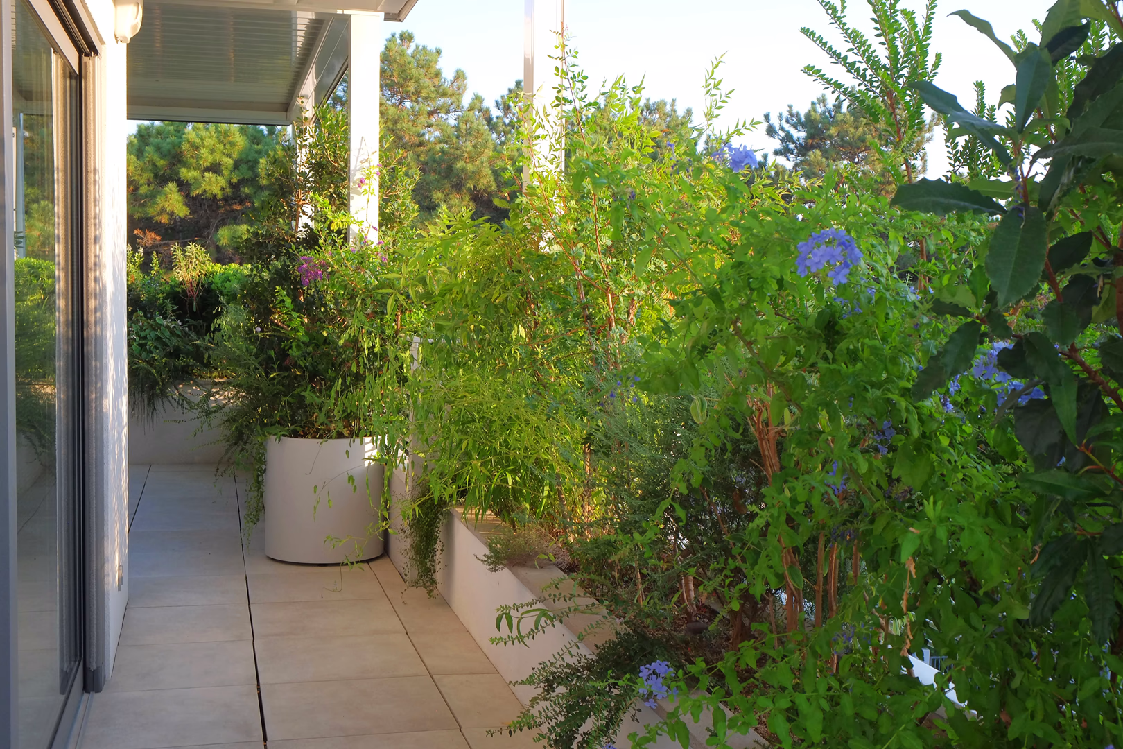 View 9 of the Tropical Pines garden design, created by Roberto Landello.Vista 9 del progetto di giardino Tropical Pines, realizzato da Roberto Landello.