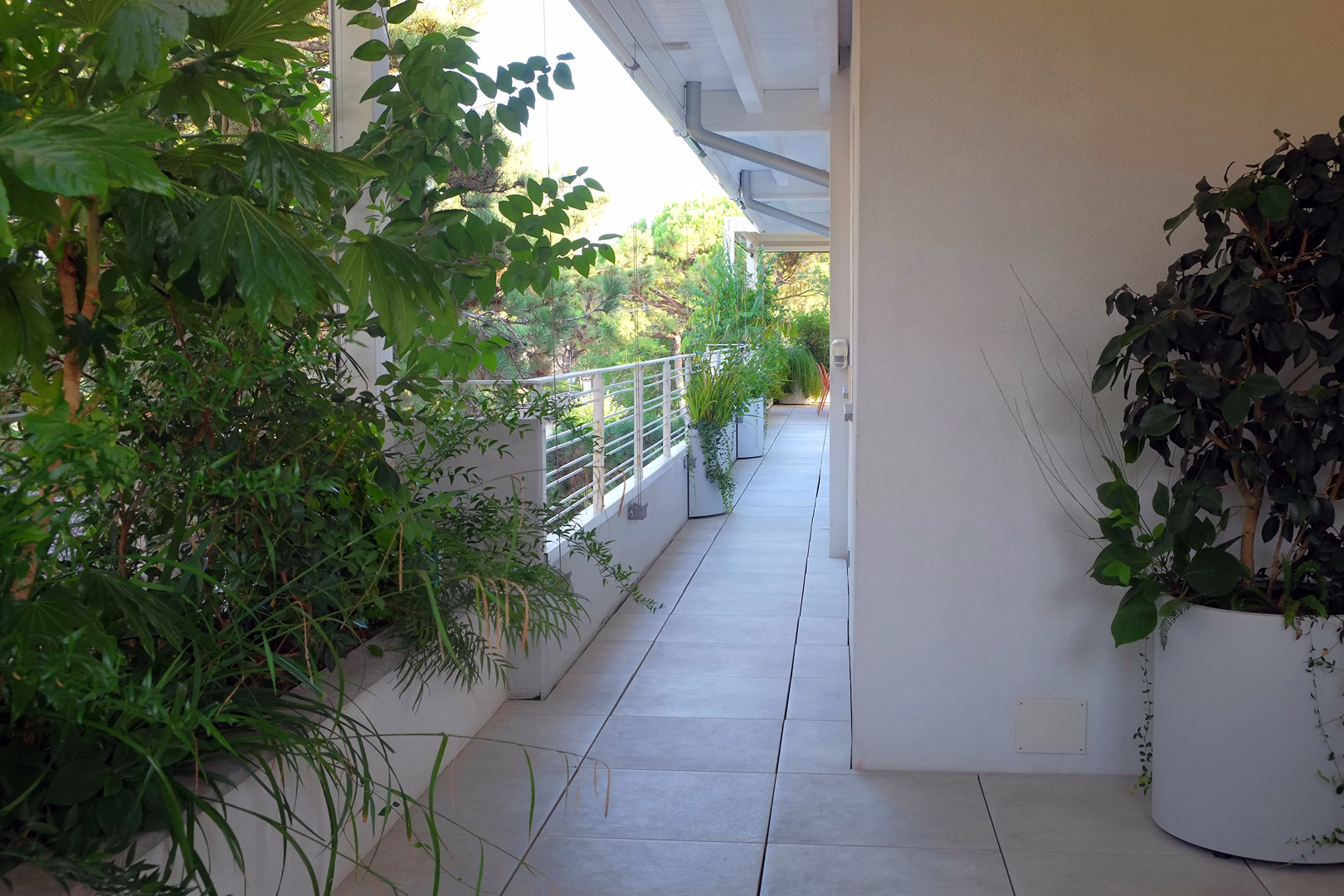 View 10 of the Tropical Pines garden design, created by Roberto Landello.