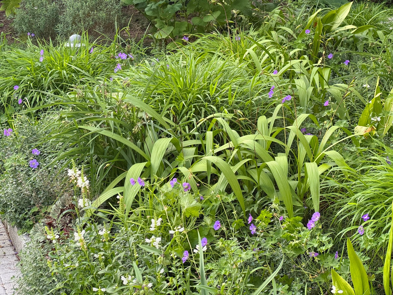 Garden Design Services