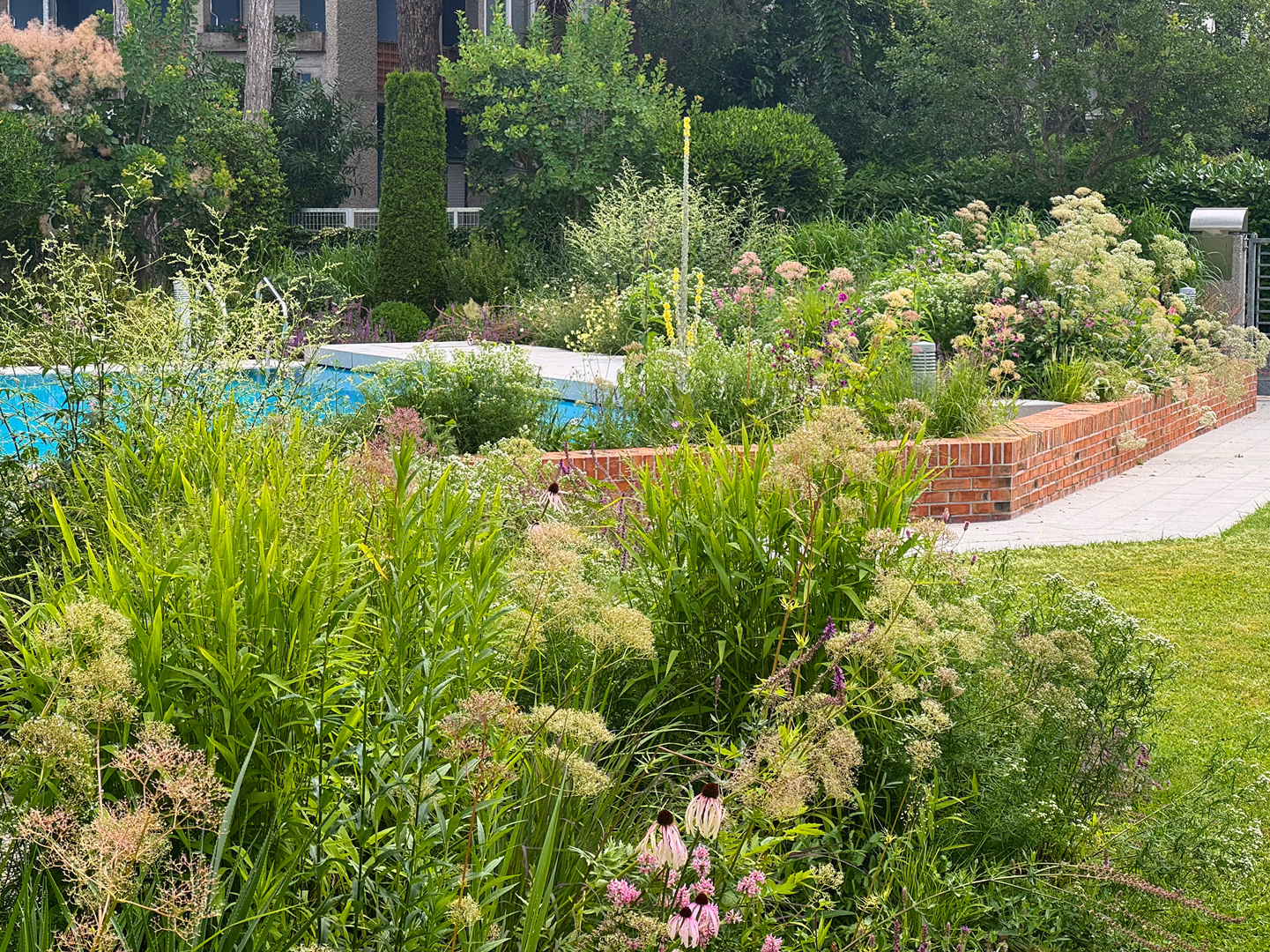 Landscaping Services