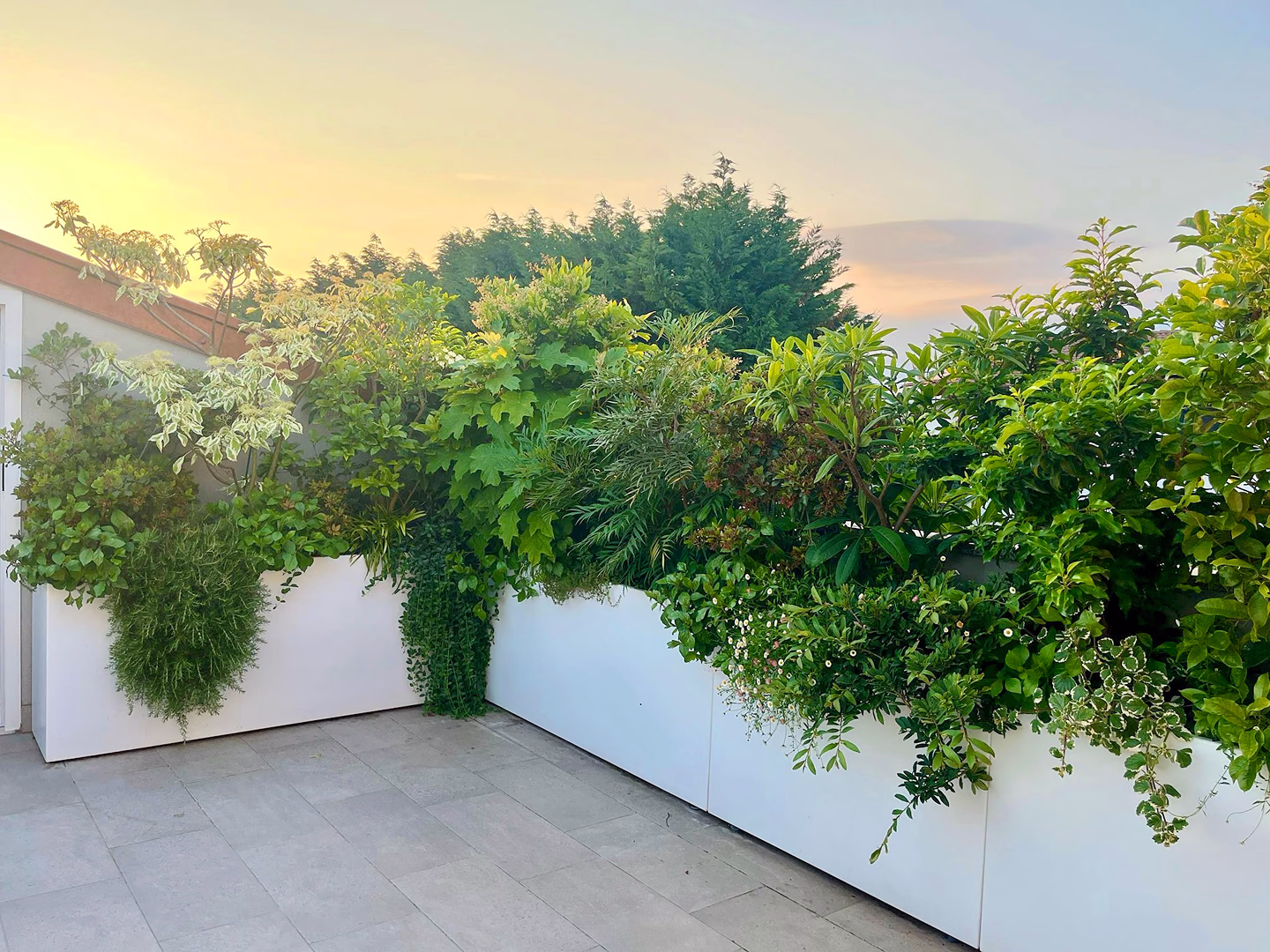 Terrace Services